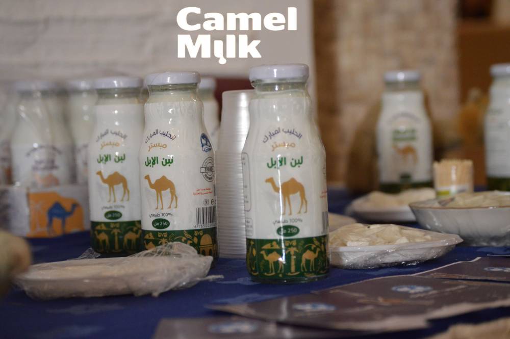 Camel Milk around the Mediterranean basin